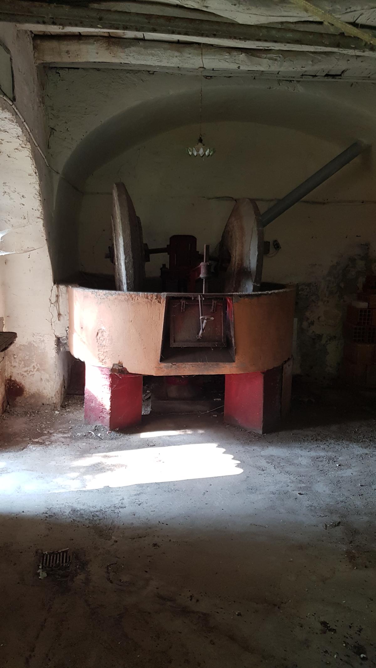 Millstone beneath the arched vault — oil mill
